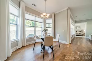 15016 High Bluff Ct, Charlotte, NC 28278 - Photo 19