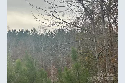 0 Freeman Road, Forest City, NC 28043 - Photo 9