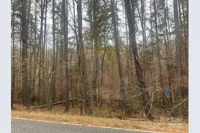 0 Freeman Road, Forest City, NC 28043 - Photo 3