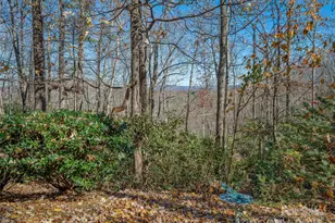 2508 Carriage Falls Ct, Hendersonville, NC 28791 - Photo 31