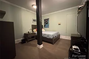 210 Hargett Ct, Charlotte, NC 28211 - Photo 17