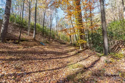 914 Catheys Creek Church Road, Brevard, NC 28712 - Photo 11