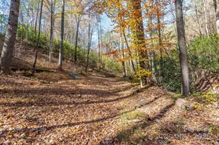 914 Catheys Creek Church Rd, Brevard, NC 28712 - Photo 11