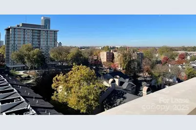 715 N Church Street #414, Charlotte, NC 28202 - Photo 13