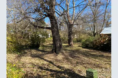 24 Ridge Avenue, Asheville, NC 28803 - Photo 33