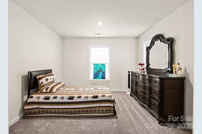 9104 Vecchio Drive, Fort Mill, SC 29707 - Photo 25