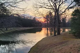 119 Tryon View Dr, Flat Rock, NC 28731 - Photo 21