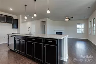 12445 Belmont Mansion Dr, Charlotte, NC 28273 - Photo 19