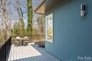 27 Mauricet Ln, Asheville, NC 28806 - Photo 23