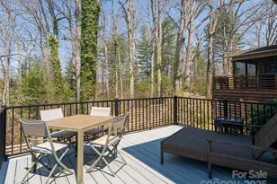 27 Mauricet Ln, Asheville, NC 28806 - Photo 25