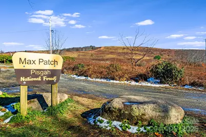 7158 Max Patch Road, Hot Springs, NC 28743 - Photo 31