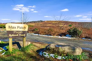 7158 Max Patch Rd, Hot Springs, NC 28743 - Photo 31