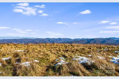 7158 Max Patch Road, Hot Springs, NC 28743 - Photo 33