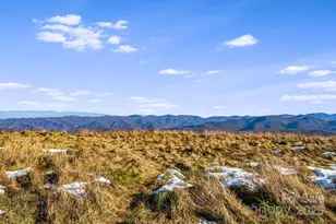 7158 Max Patch Rd, Hot Springs, NC 28743 - Photo 33