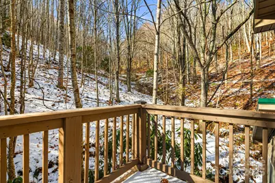 7158 Max Patch Road, Hot Springs, NC 28743 - Photo 25