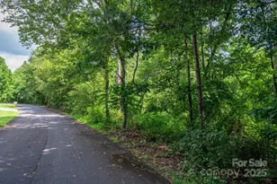 Lot 33 Line Dr, Forest City, NC 28043 - Photo 1