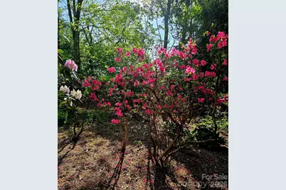 500 N Griffing Boulevard, Asheville, NC 28804 - Photo 21