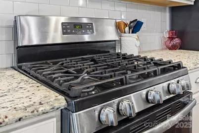 1541 Hedge Apple Road, Clover, SC 29710 - Photo 17