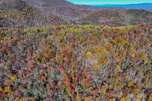 2626 Dendy Orchard Rd, Highlands, NC 28741 - Photo 19