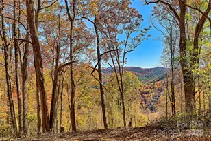 2626 Dendy Orchard Rd, Highlands, NC 28741 - Photo 17