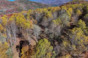 2626 Dendy Orchard Rd, Highlands, NC 28741 - Photo 11