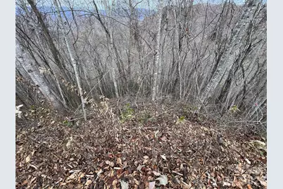 Lot 7 Deer Ridge Road, Bryson City, NC 28713 - Photo 1