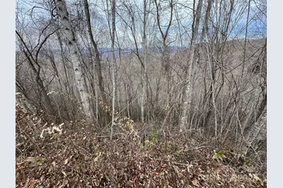 Lot 7 Deer Ridge Road, Bryson City, NC 28713 - Photo 5