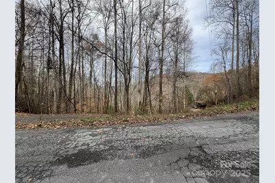 Lot 7 Deer Ridge Road, Bryson City, NC 28713 - Photo 1