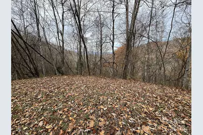 Lot 7 Deer Ridge Road, Bryson City, NC 28713 - Photo 3