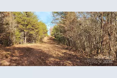 151 Cobb Road, Blacksburg, SC 29702 - Photo 23