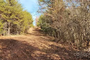 151 Cobb Rd, Blacksburg, SC 29702 - Photo 23