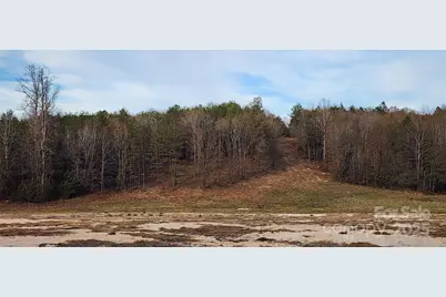 151 Cobb Road, Blacksburg, SC 29702 - Photo 31