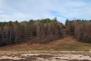 151 Cobb Rd, Blacksburg, SC 29702 - Photo 31