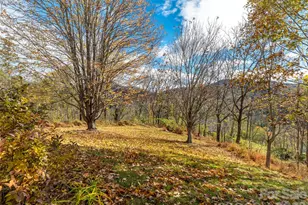 80 Stony Ridge, Asheville, NC 28804 - Photo 31