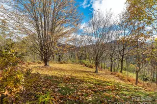 80 Stony Ridge, Asheville, NC 28804 - Photo 31