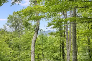 170 Lucas Ln, Mars Hill, NC 28754 - Photo 39