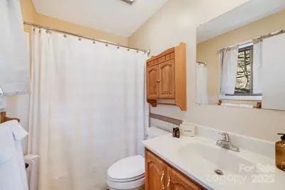 170 Lucas Lane, Mars Hill, NC 28754 - Photo 25