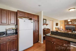 170 Lucas Ln, Mars Hill, NC 28754 - Photo 19