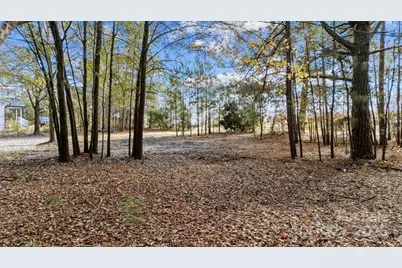 2627 McCallum Road, Candor, NC 27229 - Photo 5