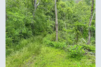 X Bee Branch Road, Bakersville, NC 28705 - Photo 13