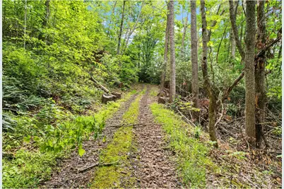 X Bee Branch Road, Bakersville, NC 28705 - Photo 5