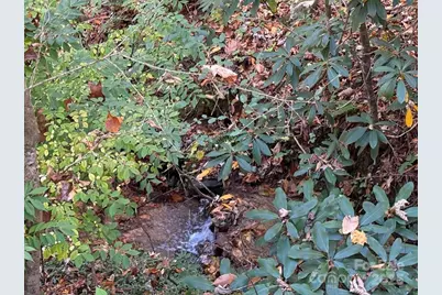 82 Merry Cove Road, Sylva, NC 28779 - Photo 5