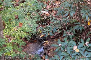 82 Merry Cove Rd, Sylva, NC 28779 - Photo 5