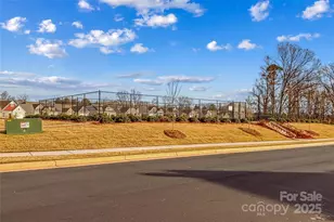 206 White Apple Wy, Statesville, NC 28625 - Photo 37