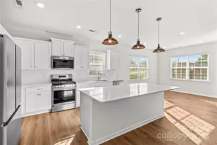 206 White Apple Wy, Statesville, NC 28625 - Photo 11