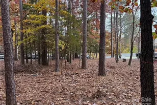 216 Roberts Ridge Rd, Mount Gilead, NC 27306 - Photo 1