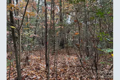 Tbd Casey Mountain Road #209, Purlear, NC 28665 - Photo 3