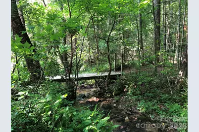 Tbd Casey Mountain Road #209, Purlear, NC 28665 - Photo 27