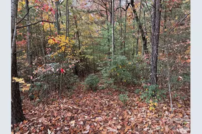 Tbd Casey Mountain Road #209, Purlear, NC 28665 - Photo 7