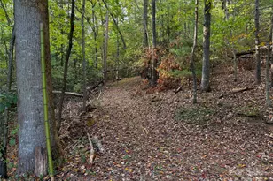 1606 Main St E, Valdese, NC 28690 - Photo 25